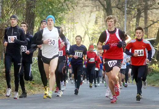 Mehrere Läufer nehmen an einem Lauf teil